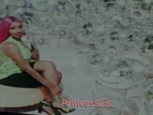 Princess23
