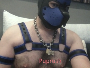 Puprush