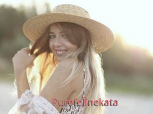Purefelinekata