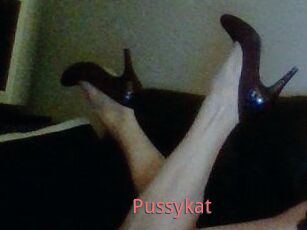 Pussykat