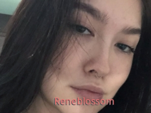 Reneblossom