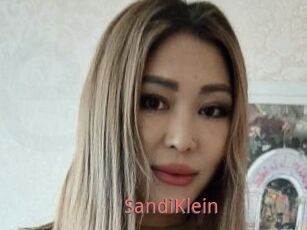SandiKlein