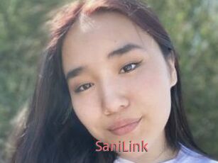 SaniLink