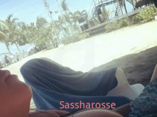 Sassharosse
