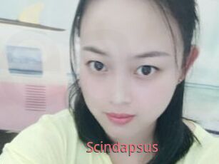 Scindapsus