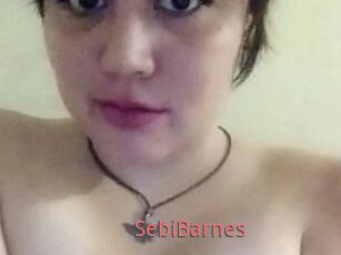 Sebi_Barnes