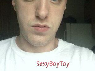 SexyBoyToy