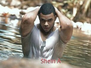 Shein_A