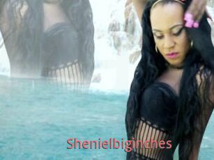 Shenielbiginches