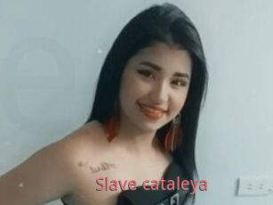 Slave_cataleya