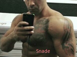 Snade