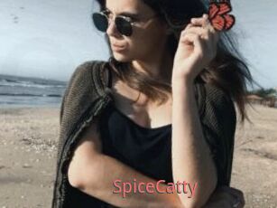SpiceCatty
