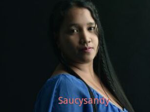 Saucysandy