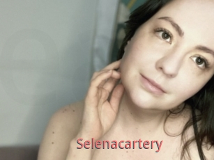 Selenacartery