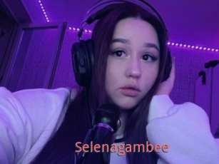 Selenagambee