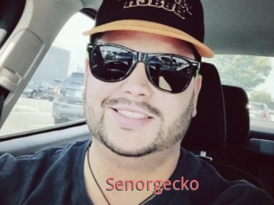Senorgecko