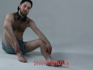 Shininghusky