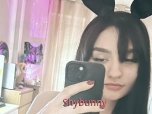 Shybunny