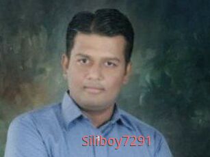 Siliboy7291