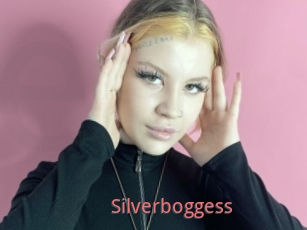Silverboggess