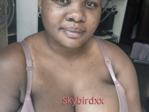 Skybirdxx