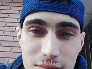 Skyleer