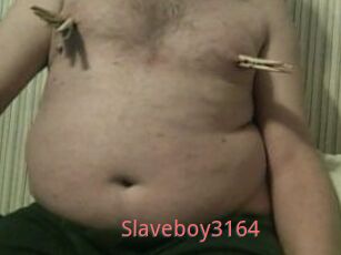 Slaveboy3164