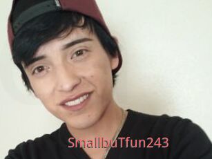 SmallbuTfun243