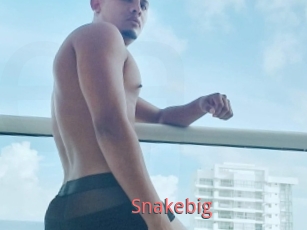 Snakebig
