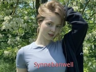 Synnebanwell