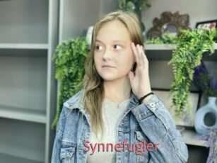 Synnefugler