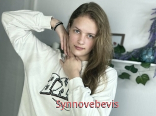 Synnovebevis