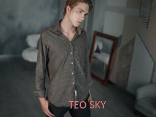 TEO_SKY