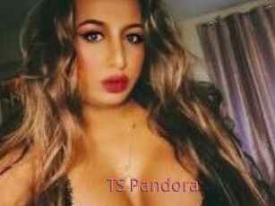 TS_Pandora