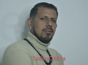 TadeoCollins