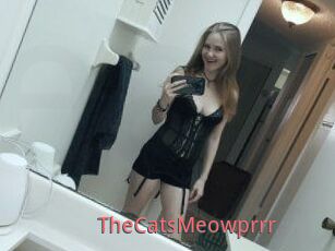 TheCatsMeowprrr