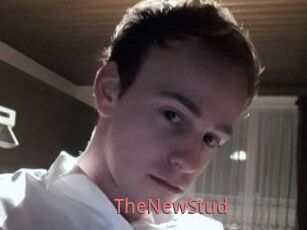 TheNewStud