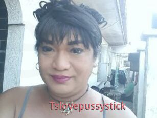 Tslovepussystick