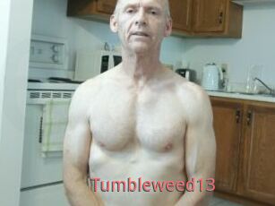 Tumbleweed13