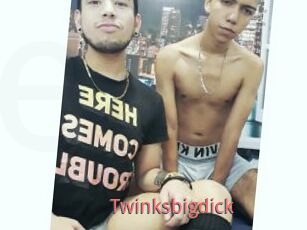 Twinksbigdick