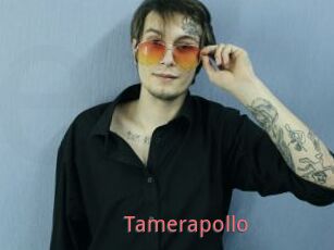 Tamerapollo