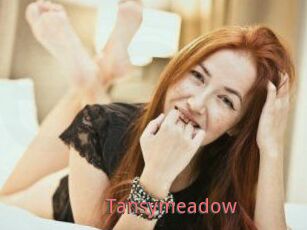 Tansymeadow