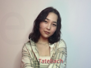 Tatebach