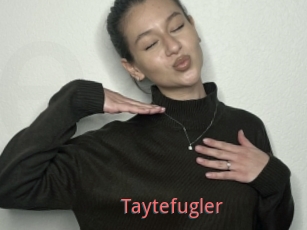 Taytefugler