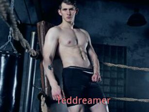 Teddreamer