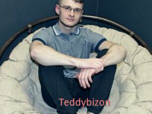 Teddybizon