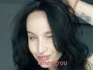 Tenesigrou