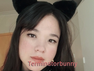 Terminatorbunny