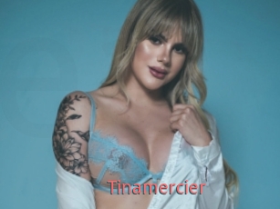 Tinamercier