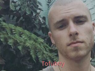 Tofu_boy